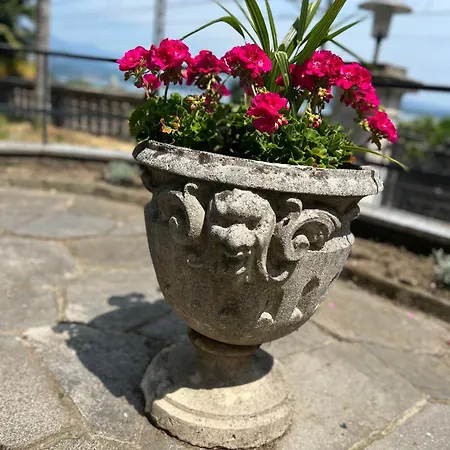 Elisabetta Maggiore Apartament
