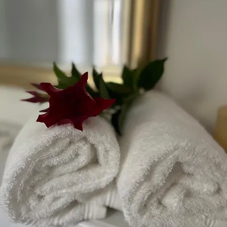 Elisabetta Maggiore Apartament *